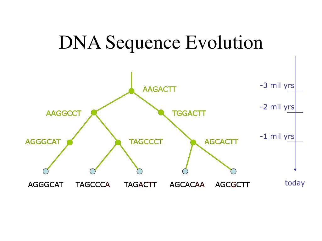 Biology_for_Kids