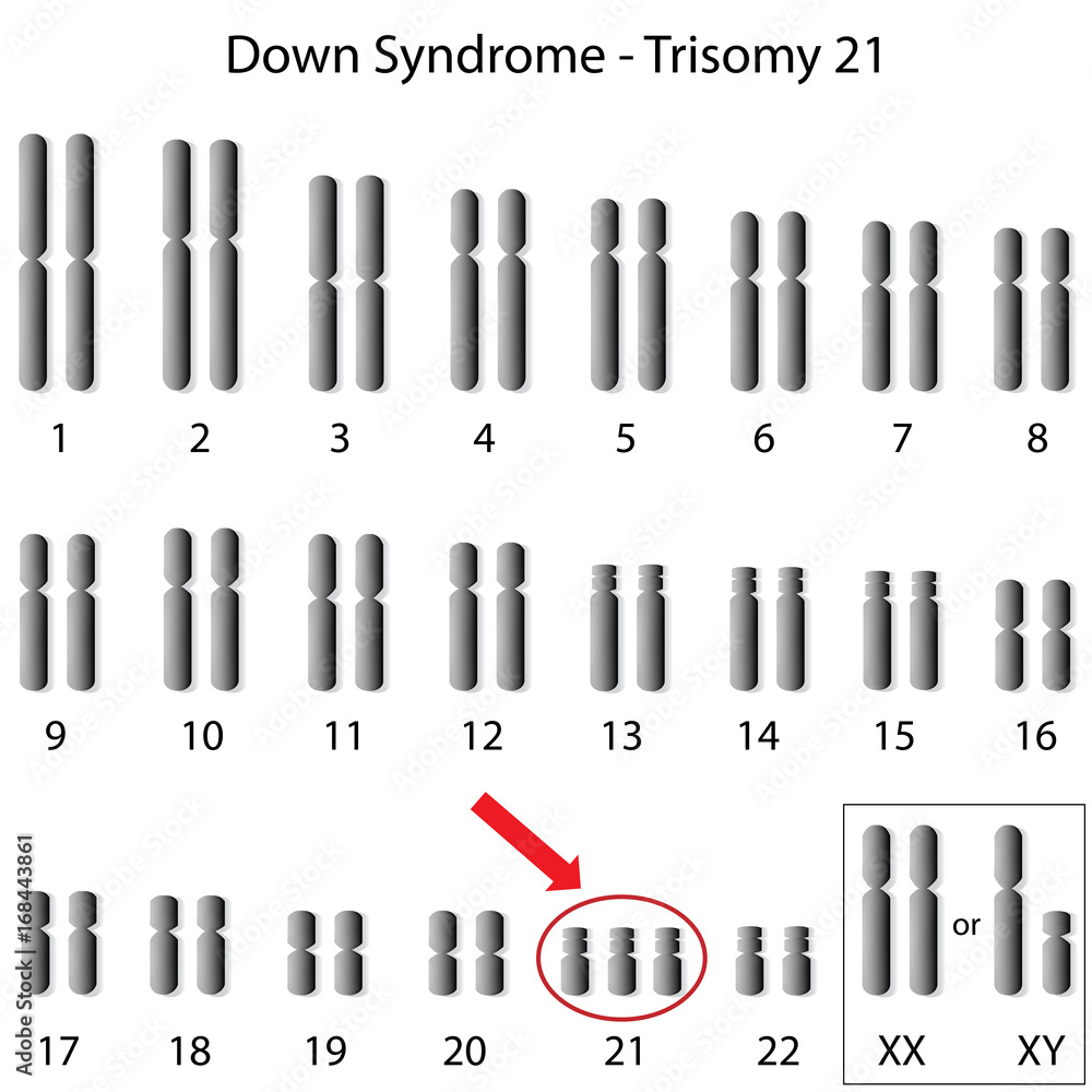 Biology_for_Kids