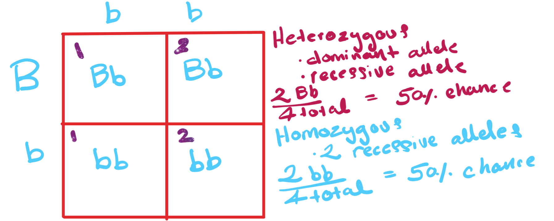 Biology_for_Kids